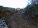 Picture 050
